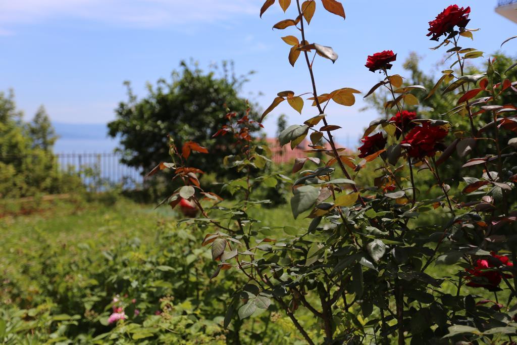 Villa Vera Ičići Esterno foto